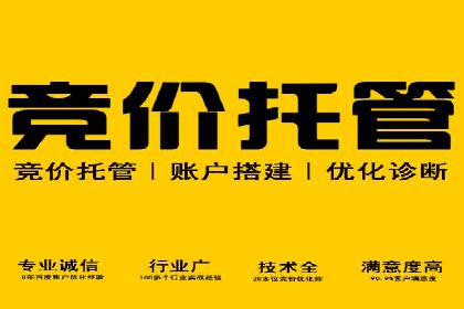 网站sem托管全流程解析，让效果立竿见影